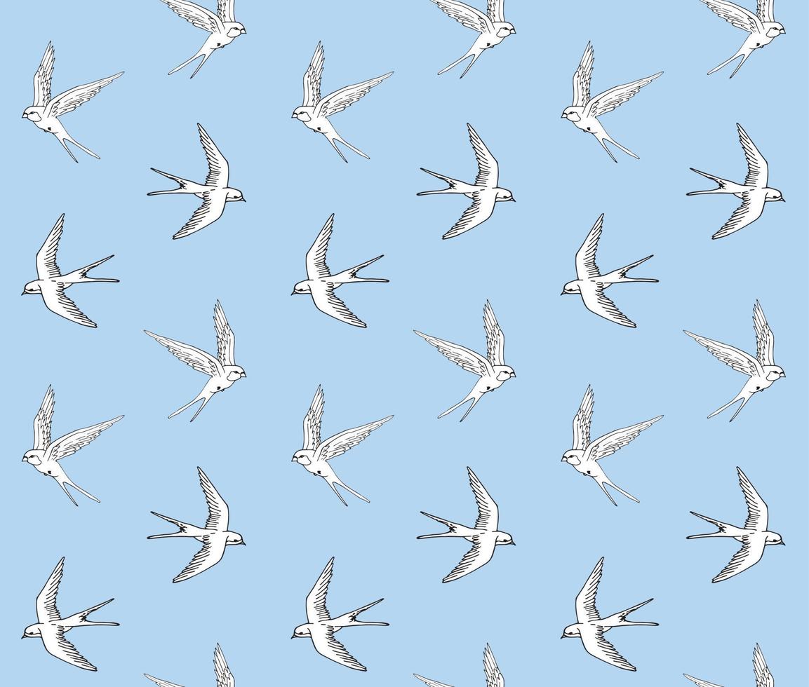 Seamless pattern of swallow vector