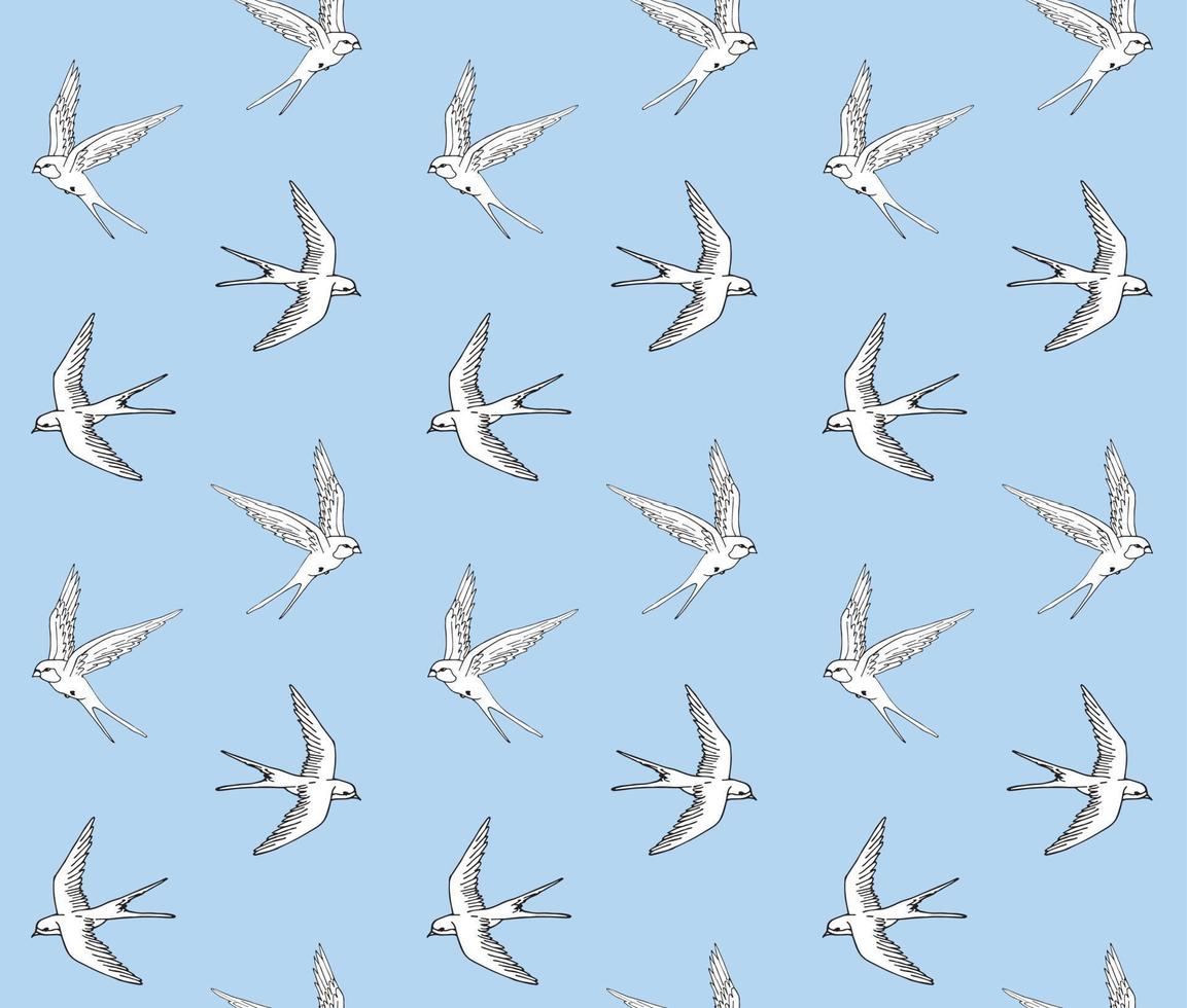 Seamless pattern of swallow vector