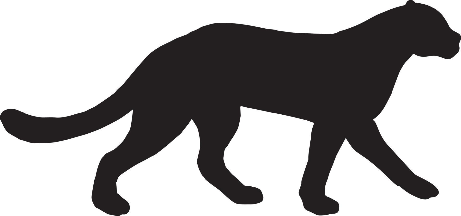 Vector leopard silhouette