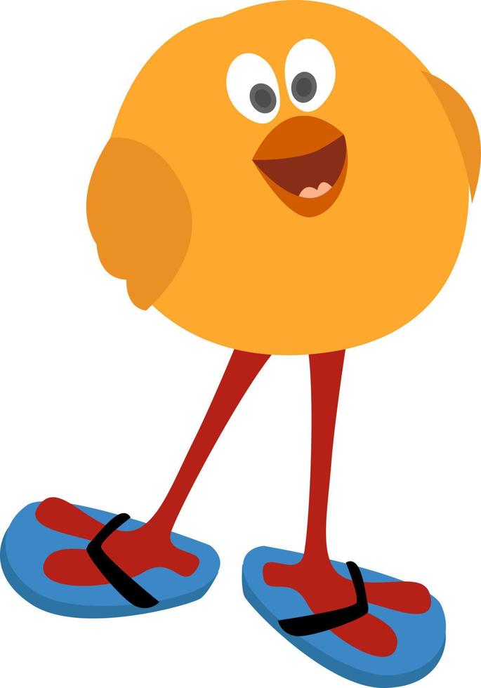 pollito con chanclas, ilustración, vector sobre fondo blanco