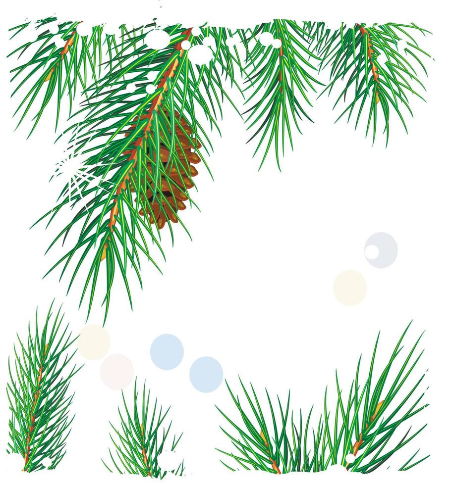 Framework from pine branches vector