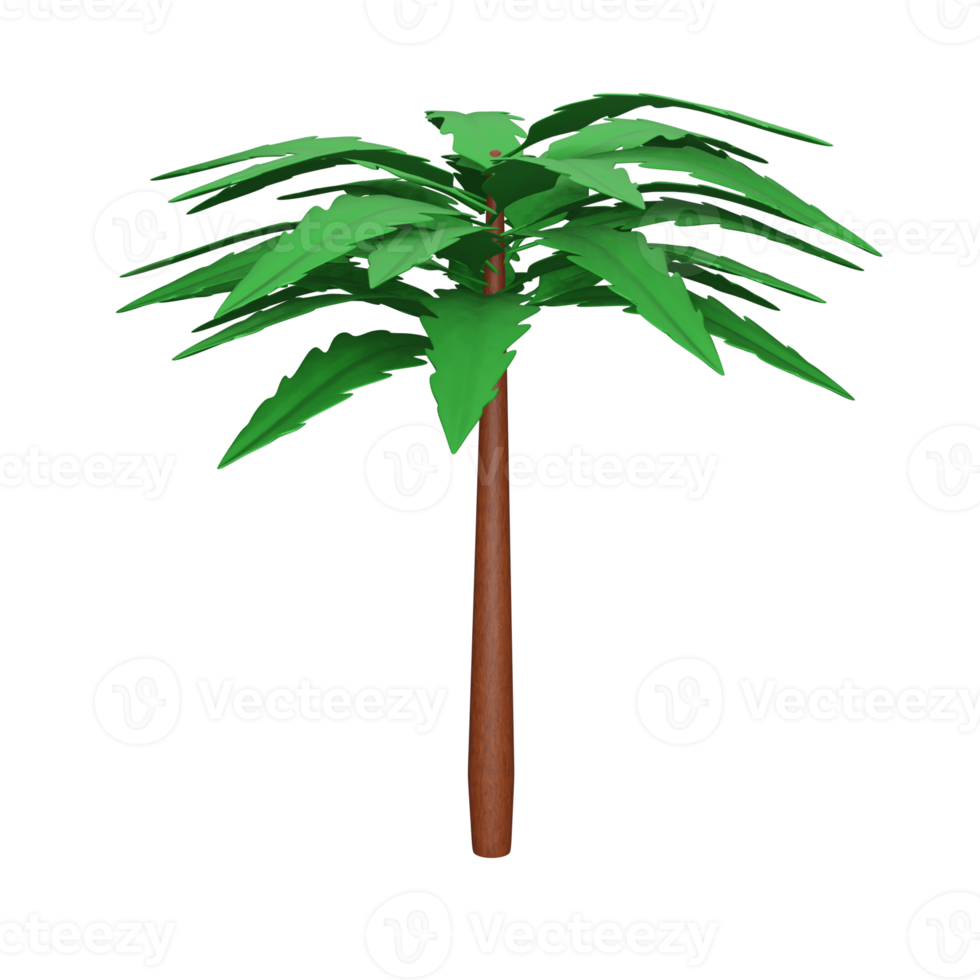 Coconut tree 3d icon, perfect to use as an additional element in your designs, templates, banners and poster designs png