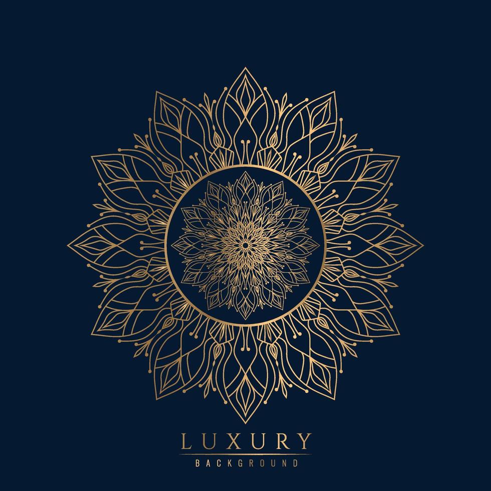 luxury Islamic Mandala vector