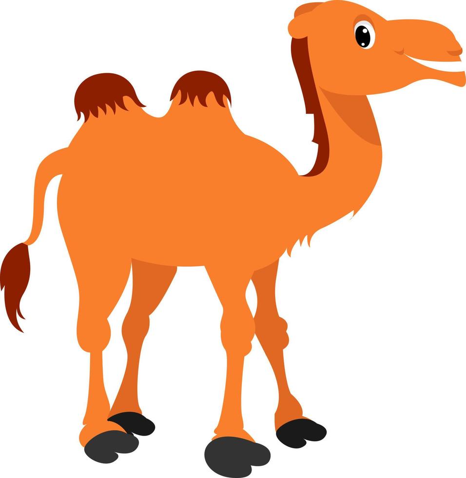 Happy camel, illustration, vector on white background.