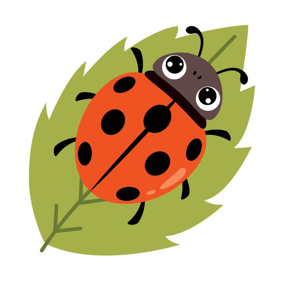Cartoon Illustration Of A Ladybug vector