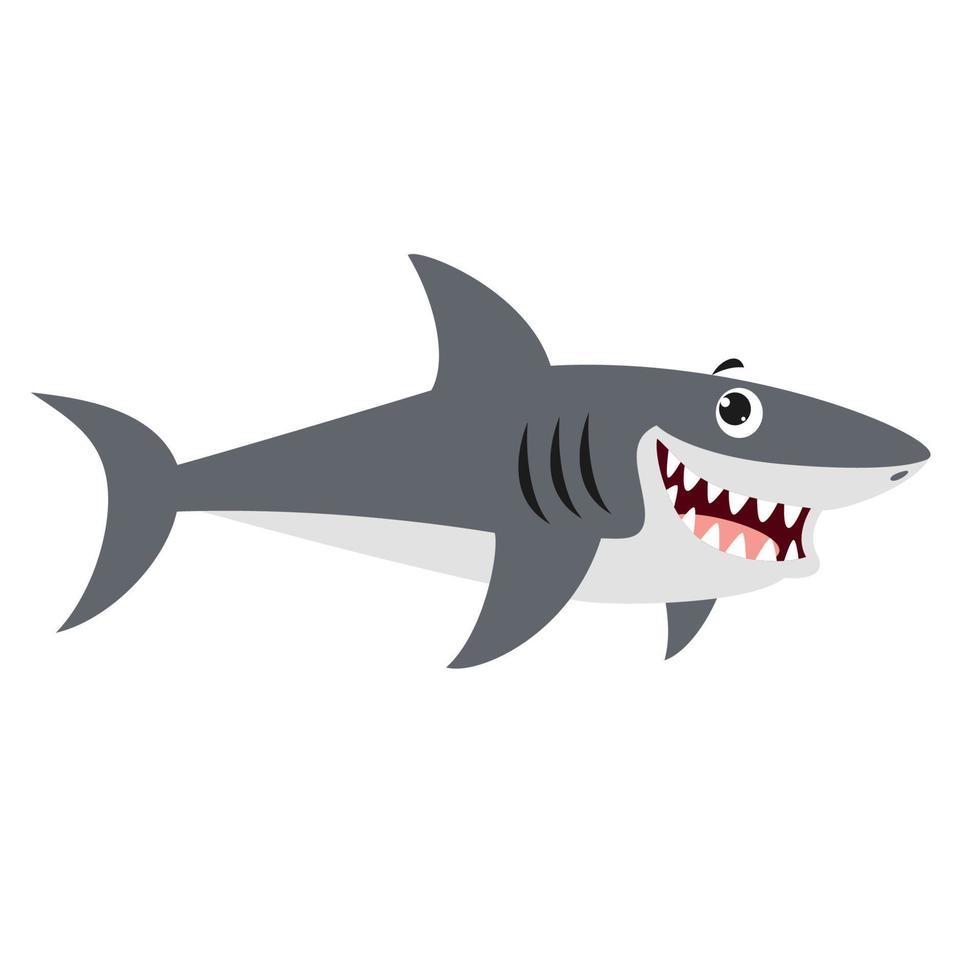 Cartoon Drawing Of A Shark vector