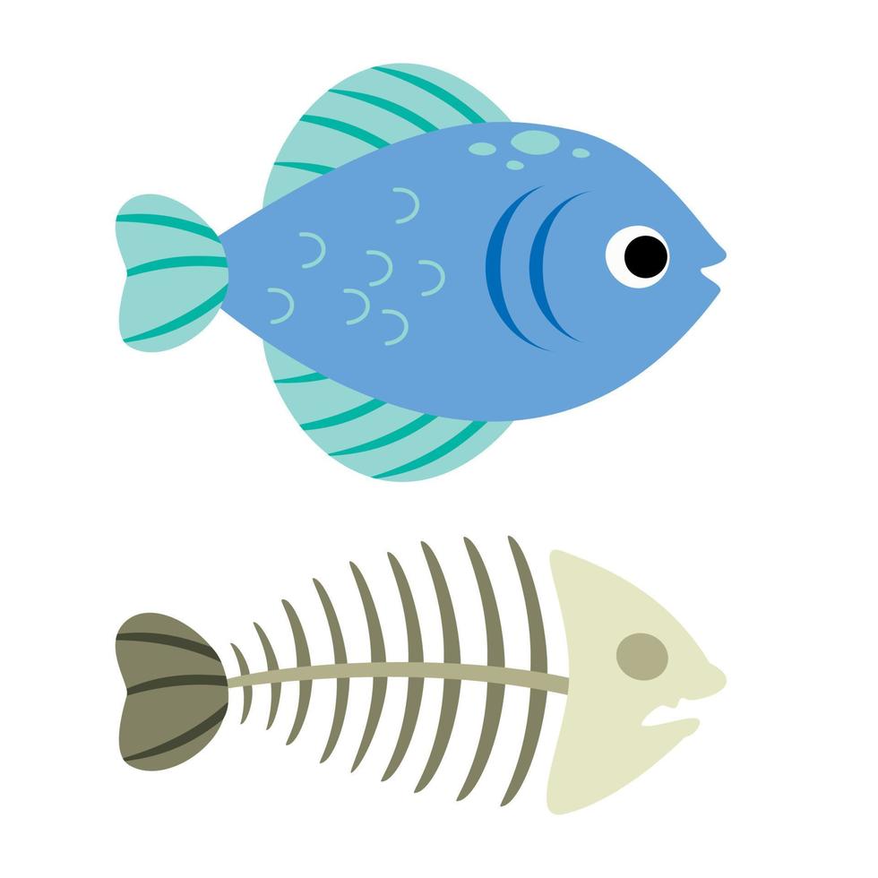 Cartoon Drawing Of A Fish Bone vector