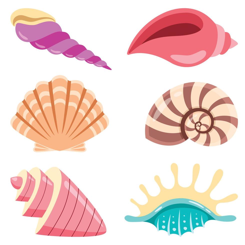 Set Of Various Sea Shells vector