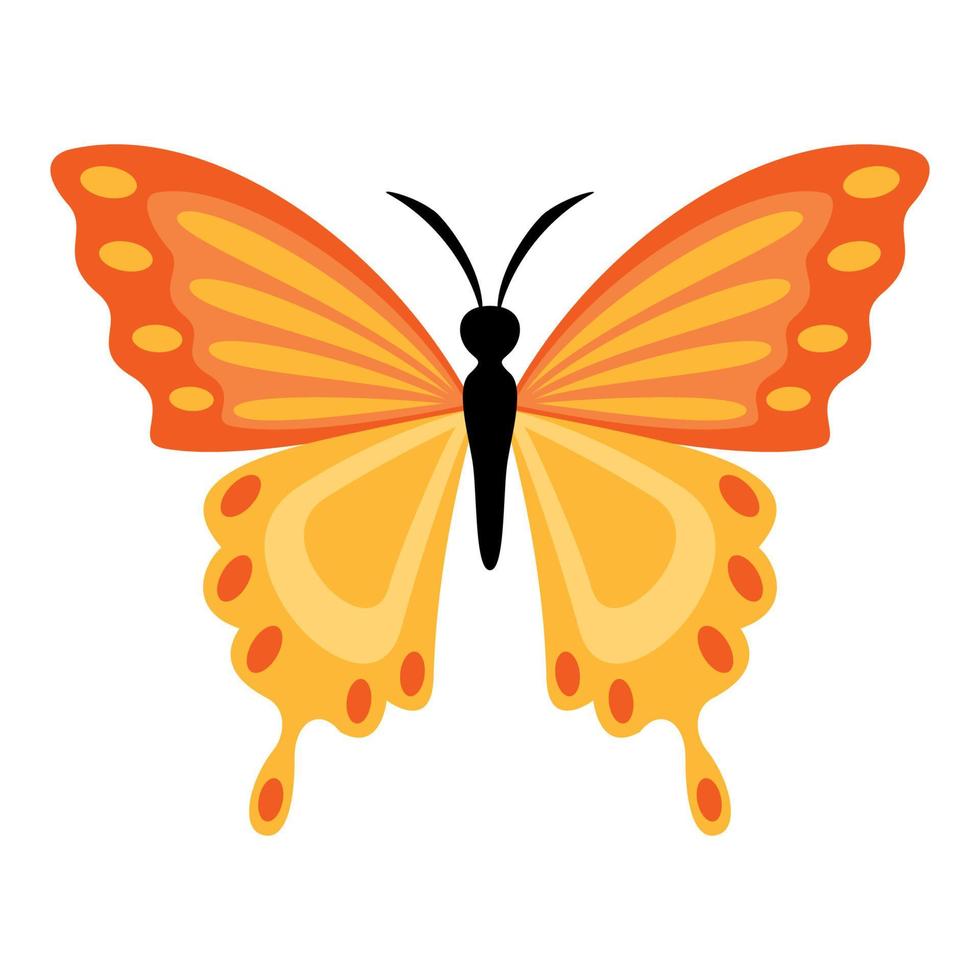 Flat Drawing Of A Butterfly vector