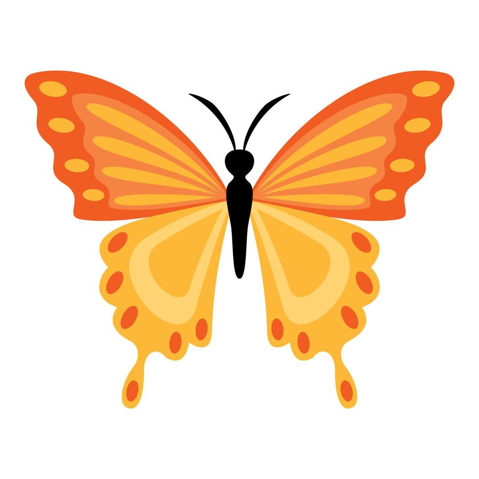 Flat Drawing Of A Butterfly vector