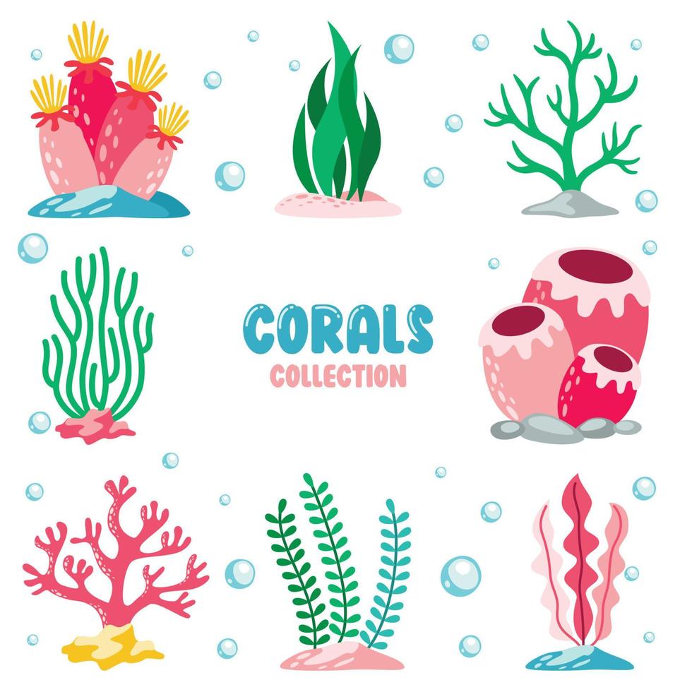 Flat Drawing Of Colorful Corals vector