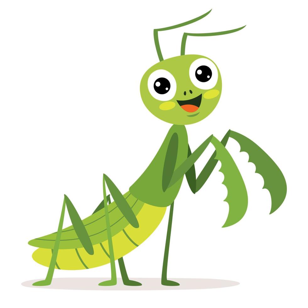 Cartoon Drawng Of A Praying Mantis vector