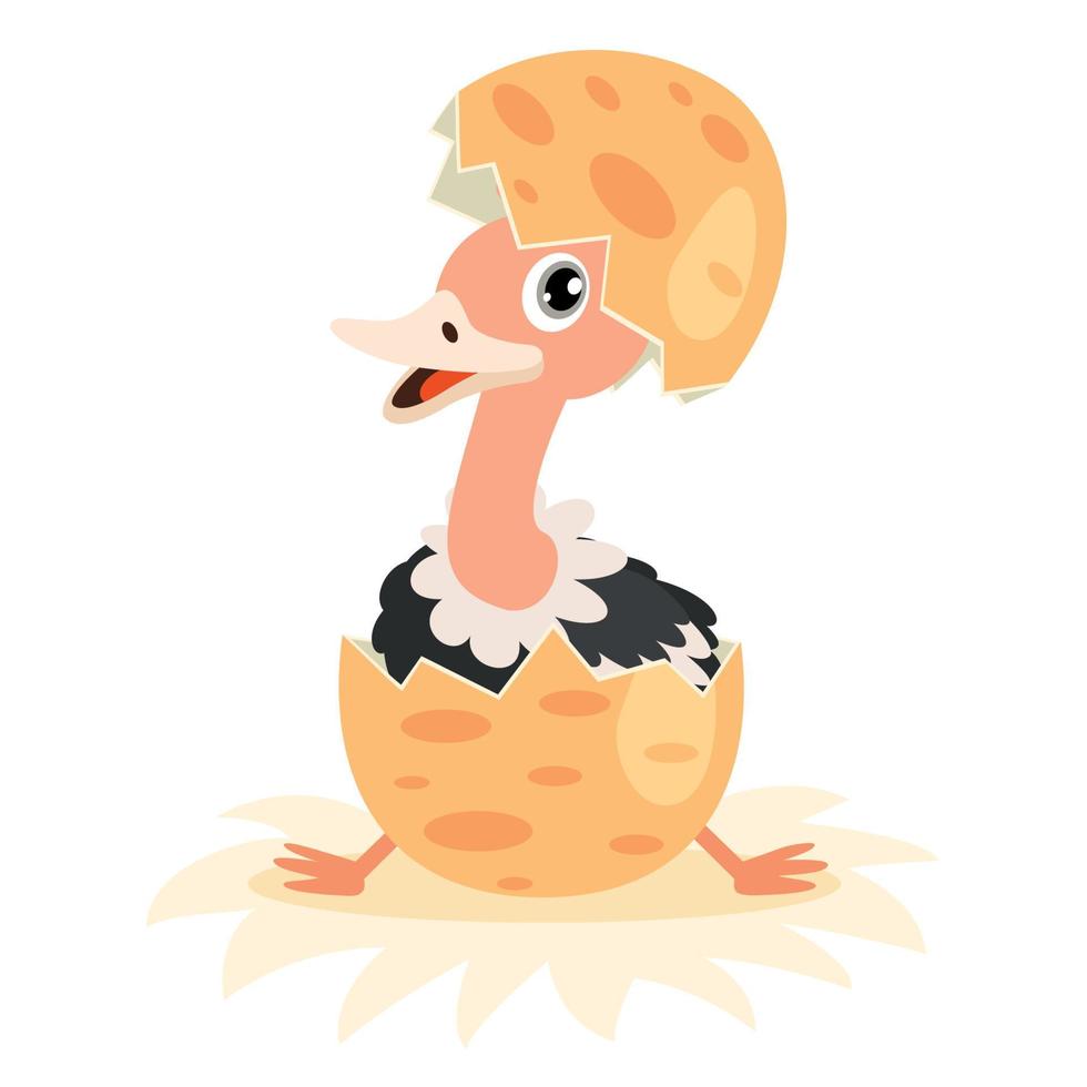 Cartoon Drawing Of An Ostrich vector