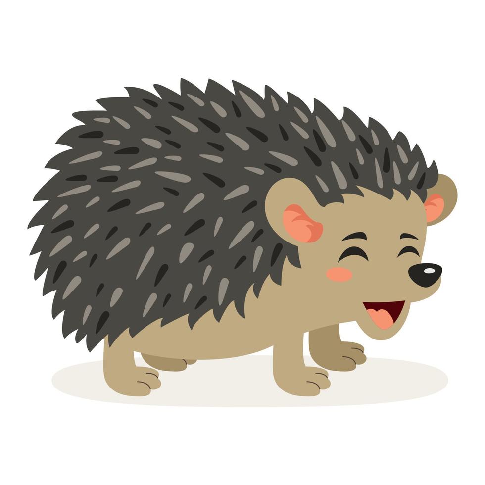 Cartoon Illustration Of A Hedgehog vector