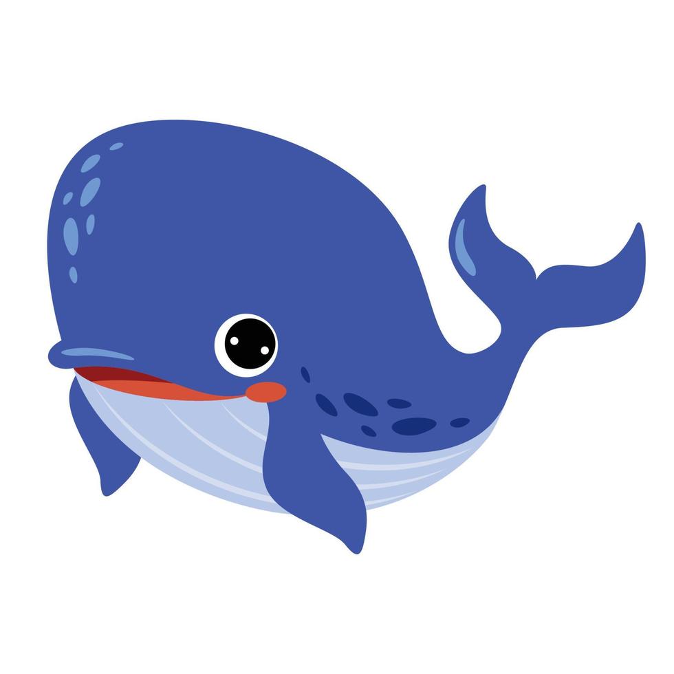 caricatura, dibujo, de, un, ballena vector