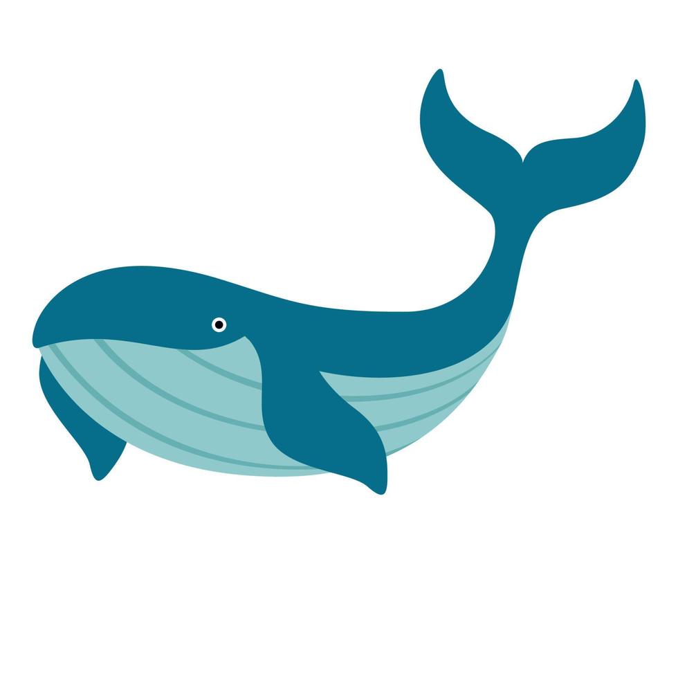 caricatura, dibujo, de, un, ballena vector