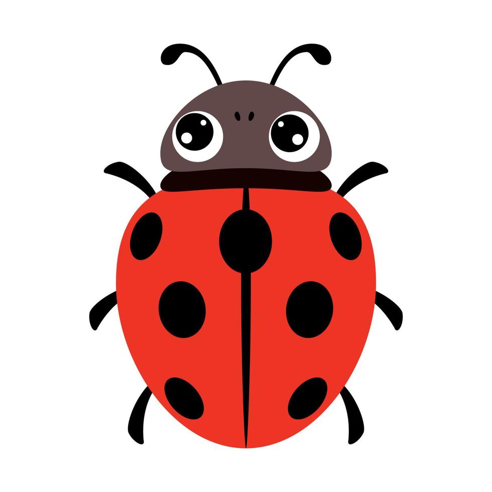 Cartoon Illustration Of A Ladybug vector