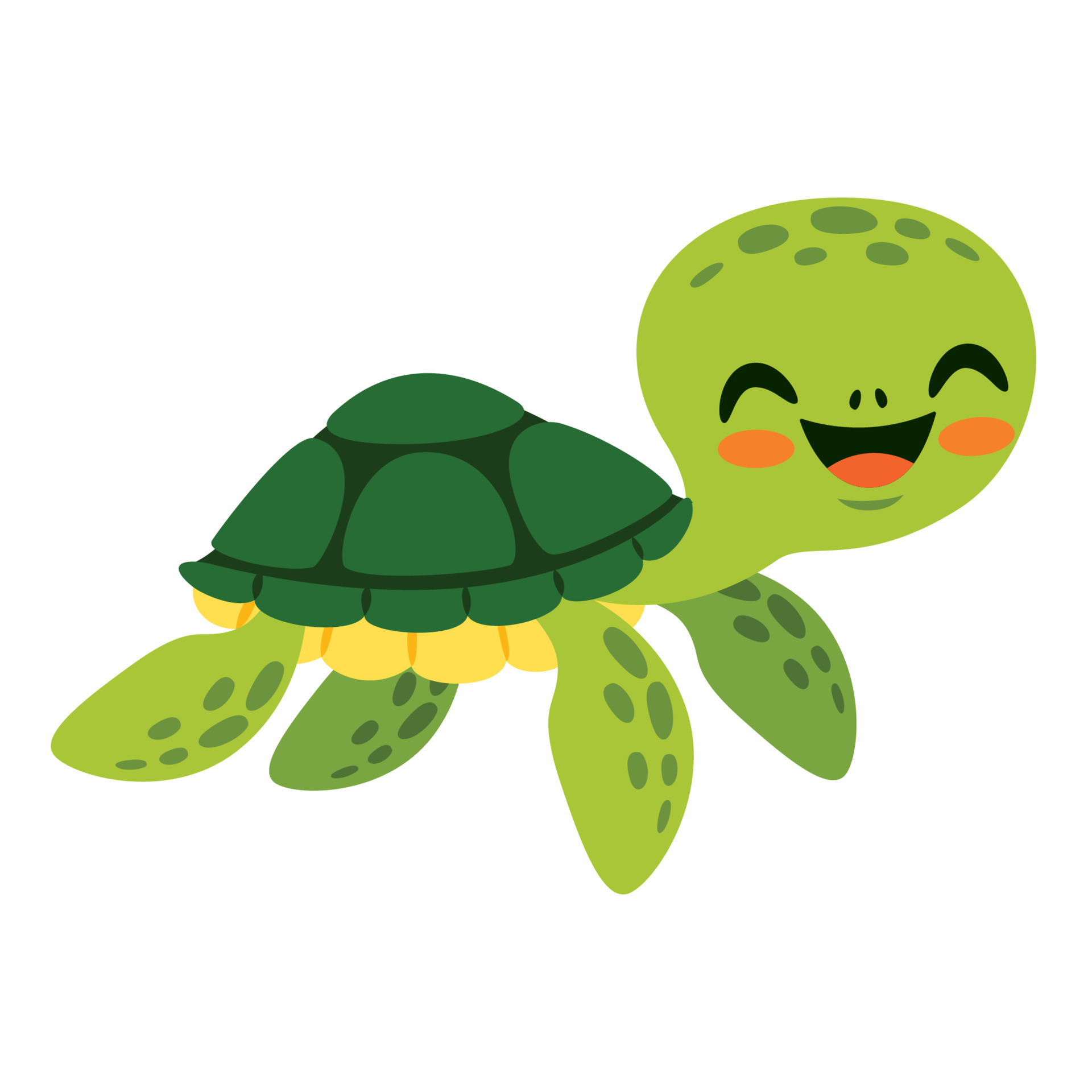 Cartoon Drawing Of A Sea Turtle 13539456 Vector Art at Vecteezy