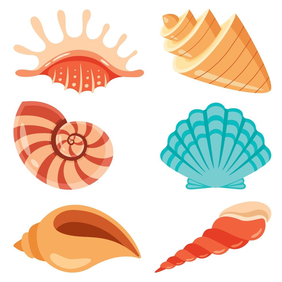 Set Of Various Sea Shells vector