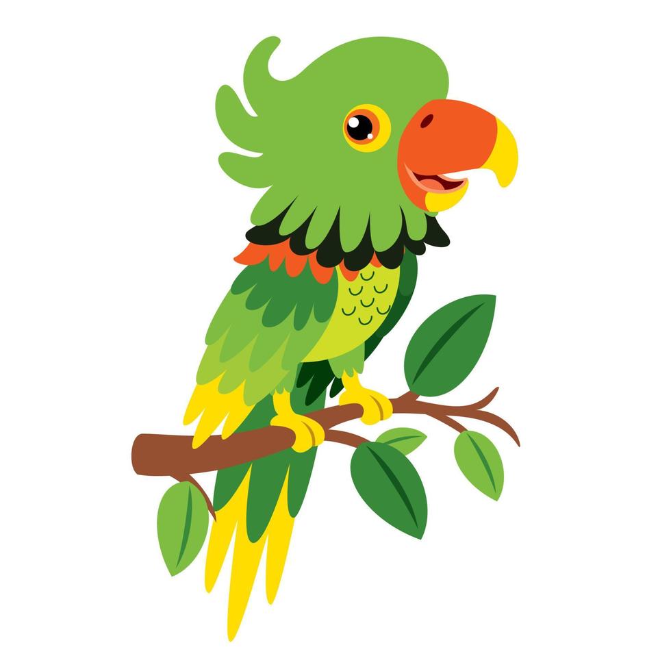 Cartoon Drawing Of A Parrot vector