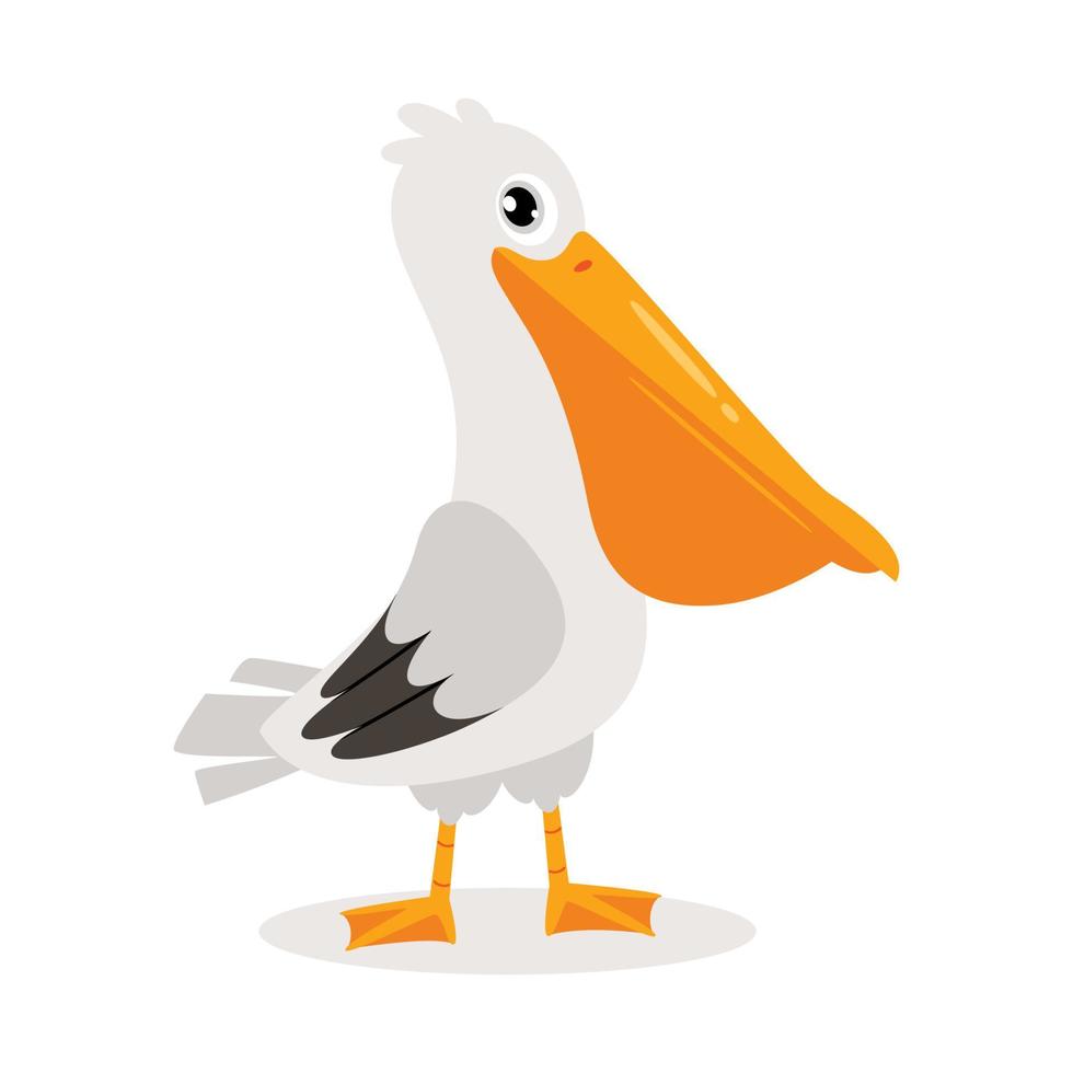 Cartoon Drawing Of A Pelican vector