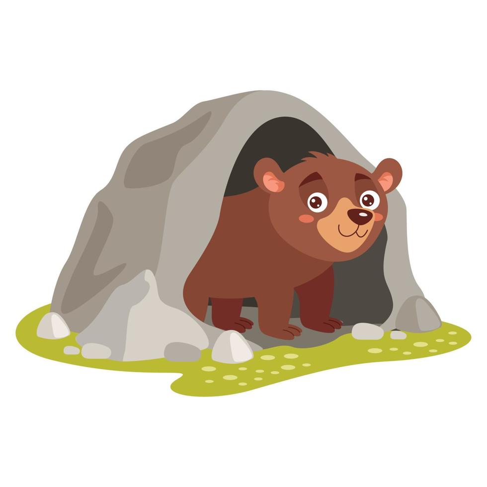 ilustración de dibujos animados de un oso vector