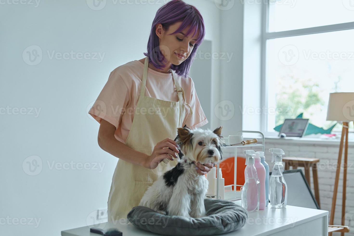 mujer segura de sí misma cuidando a un perrito en el salón de aseo foto