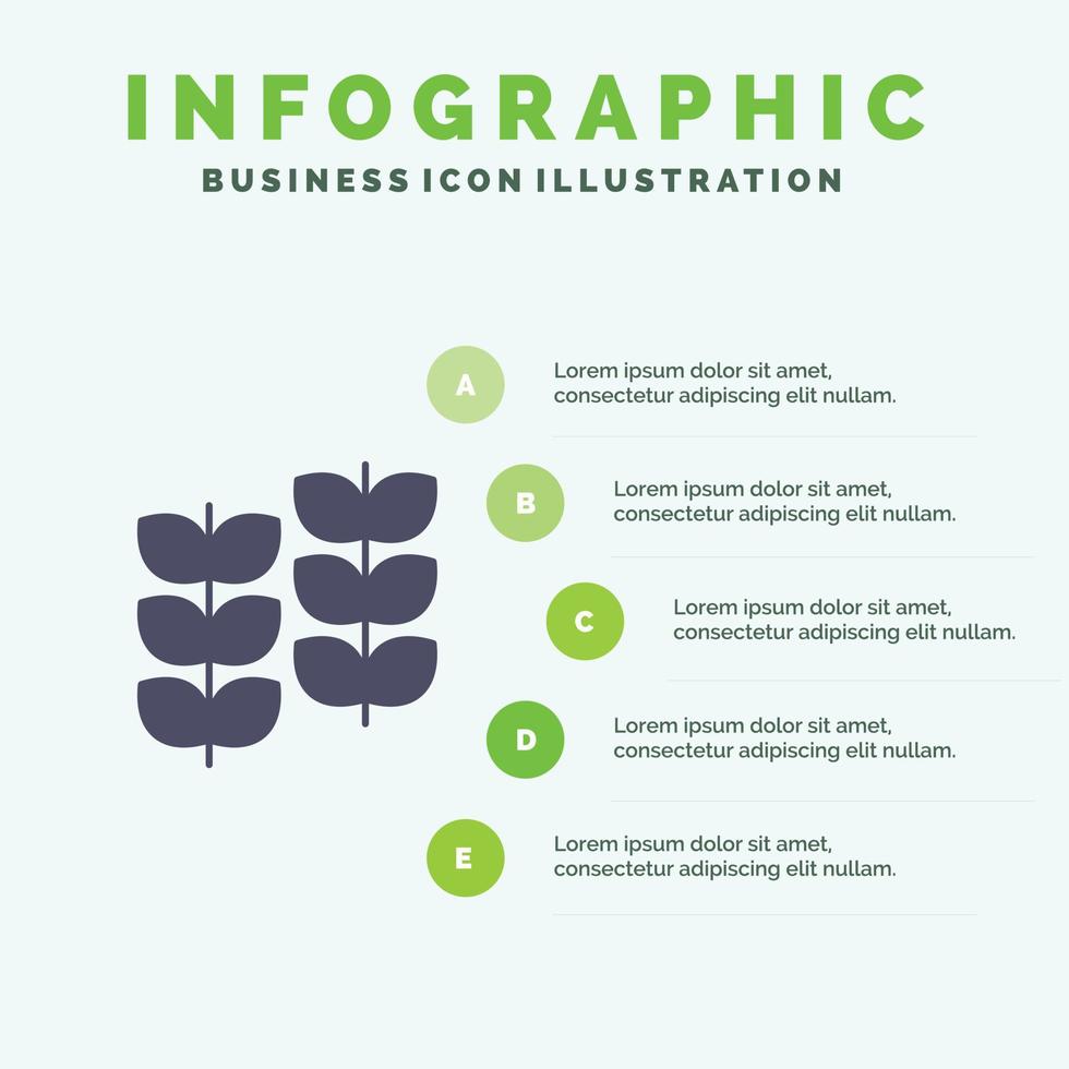 planta hoja planta crecimiento sólido icono infografía 5 pasos presentación antecedentes vector