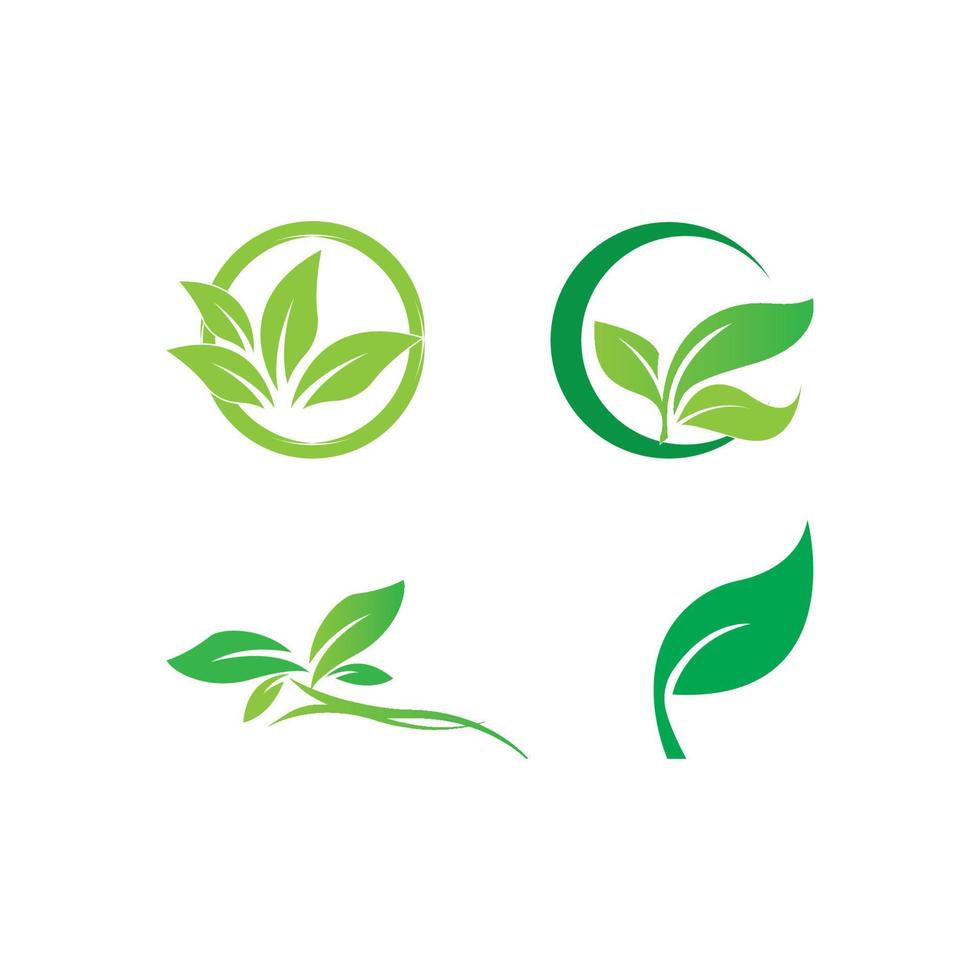 Tree leaf vector logo design, eco-friendly