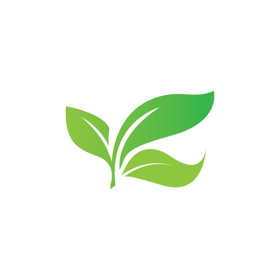 Tree leaf vector logo design, eco-friendly