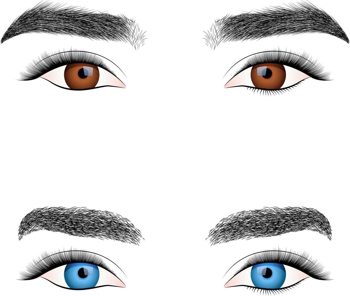 Illustration of a set of eyes vector