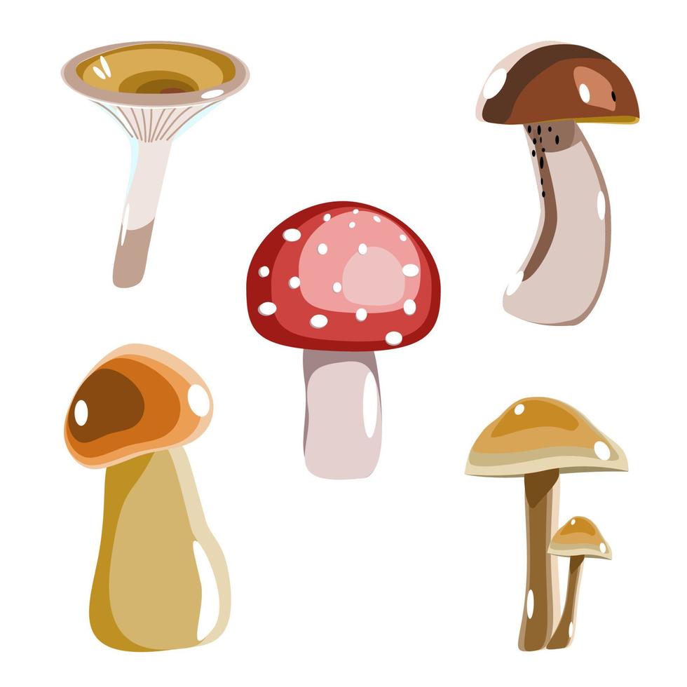 Forest mushrooms in flat technique vector