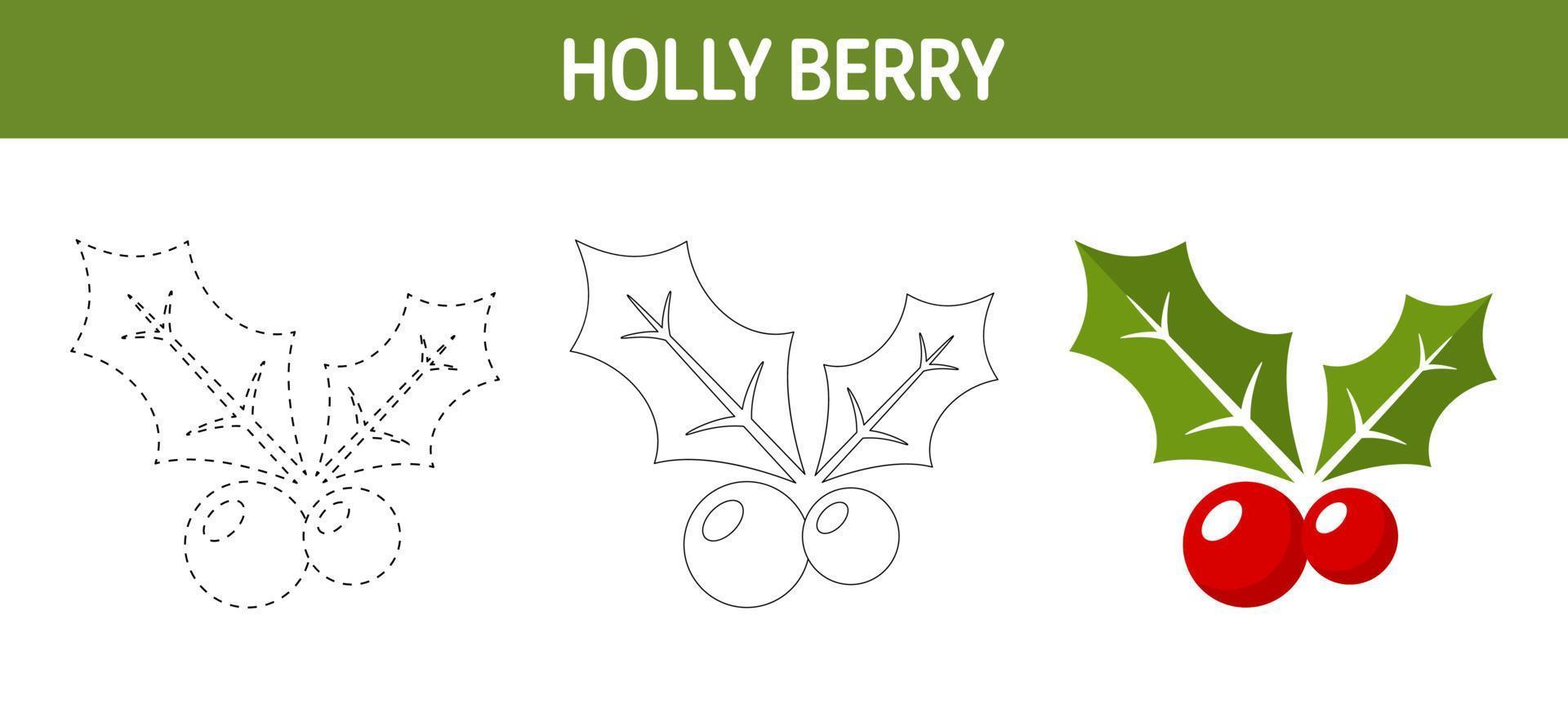 Holly Berry tracing and coloring worksheet for kids vector