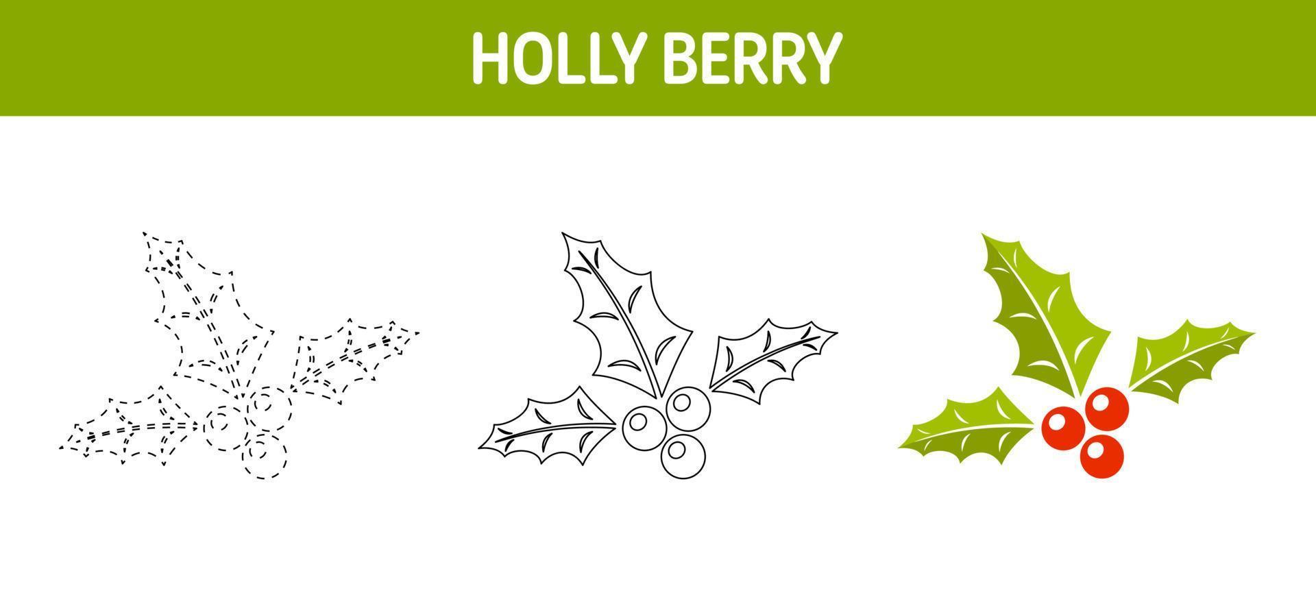 Holly Berry tracing and coloring worksheet for kids vector