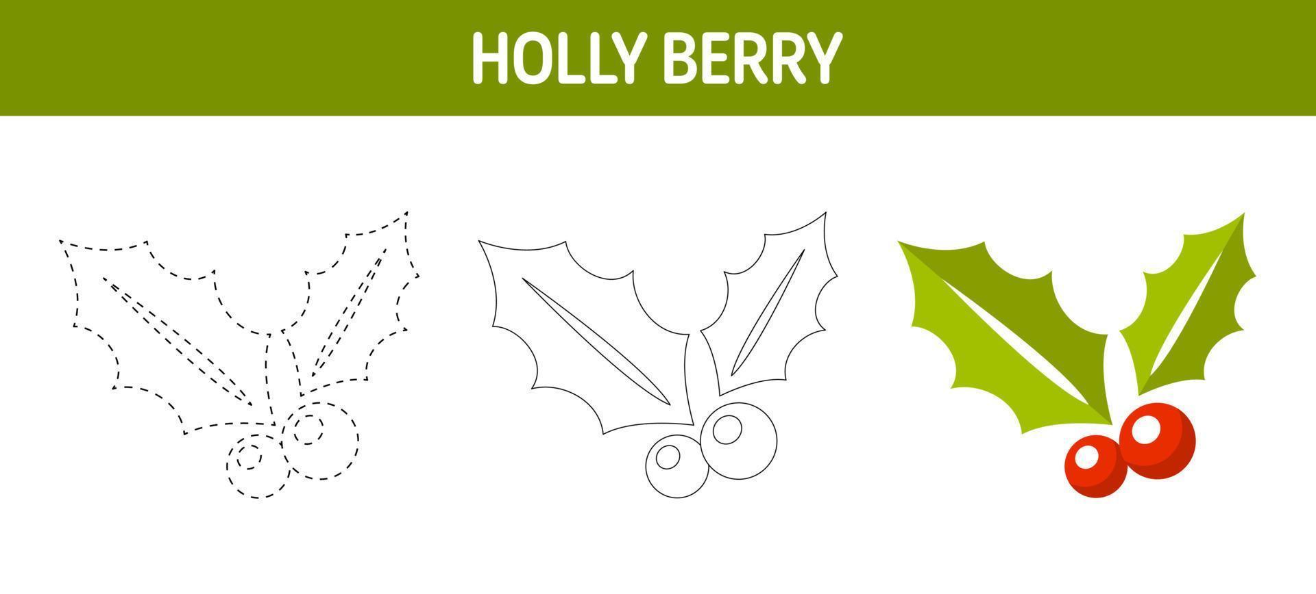 Holly Berry tracing and coloring worksheet for kids vector