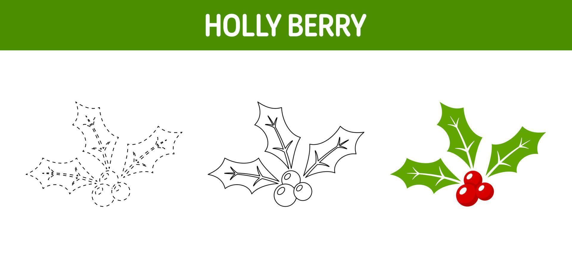Holly Berry tracing and coloring worksheet for kids vector