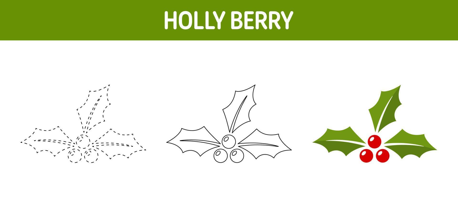 Holly Berry tracing and coloring worksheet for kids vector