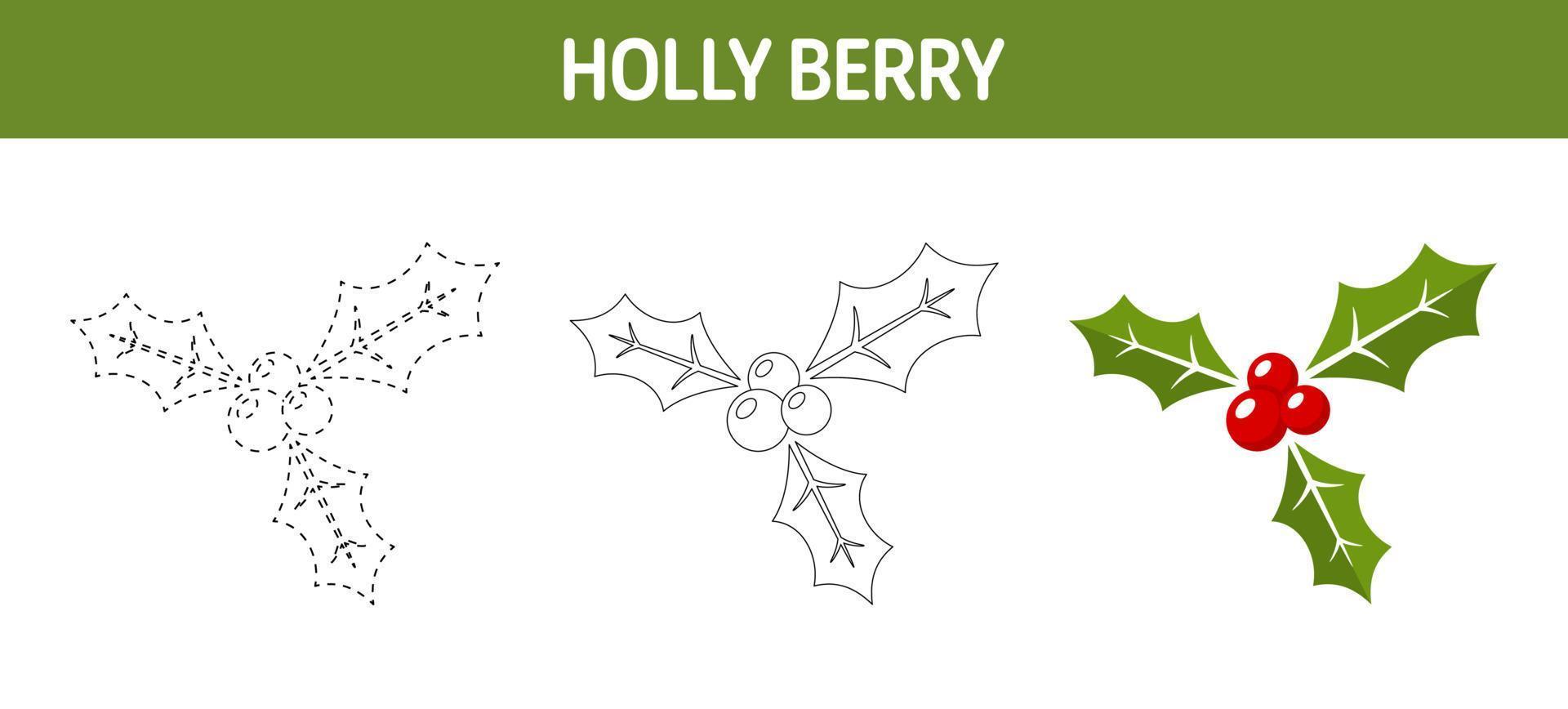 Holly Berry tracing and coloring worksheet for kids vector