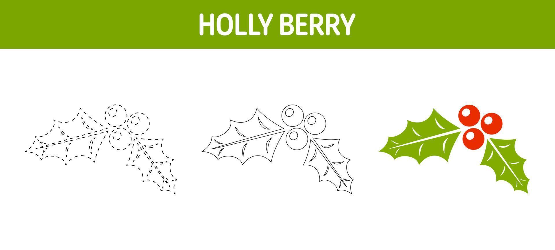 Holly Berry tracing and coloring worksheet for kids vector