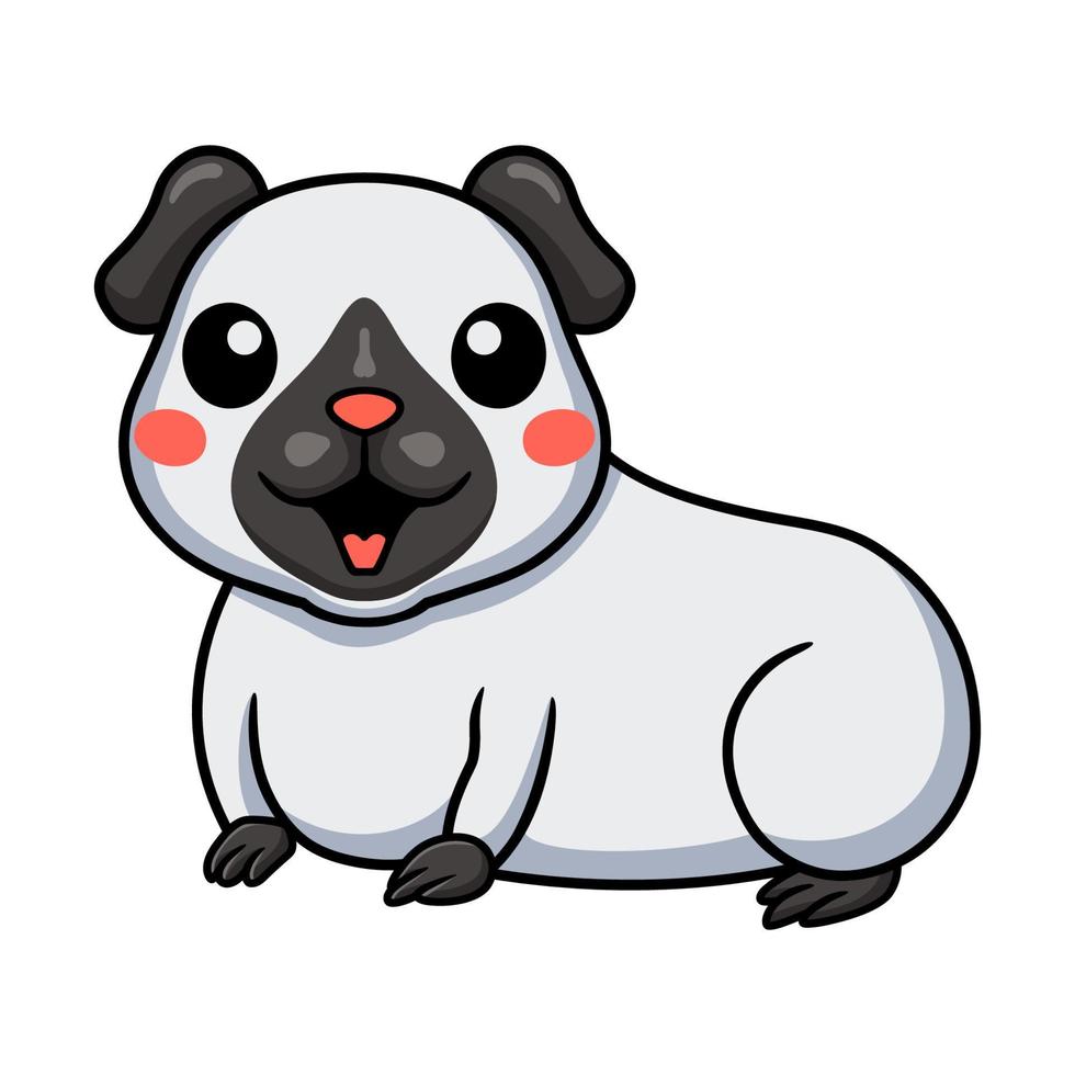 Cute little siamese guinea cartoon vector