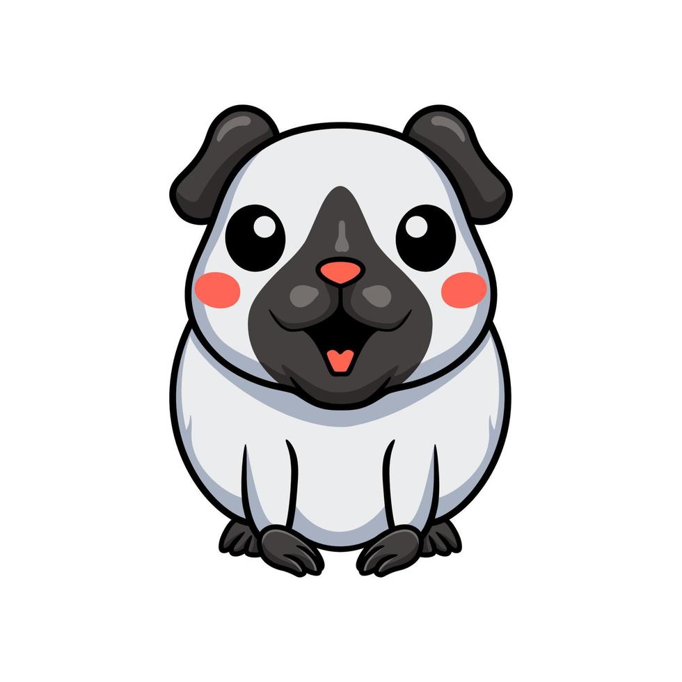 Cute little siamese guinea cartoon vector