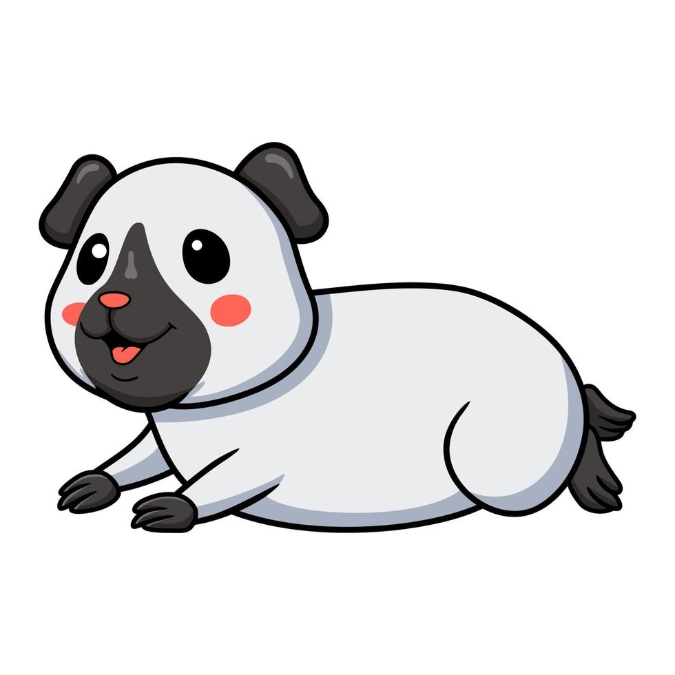 Cute little siamese guinea cartoon vector