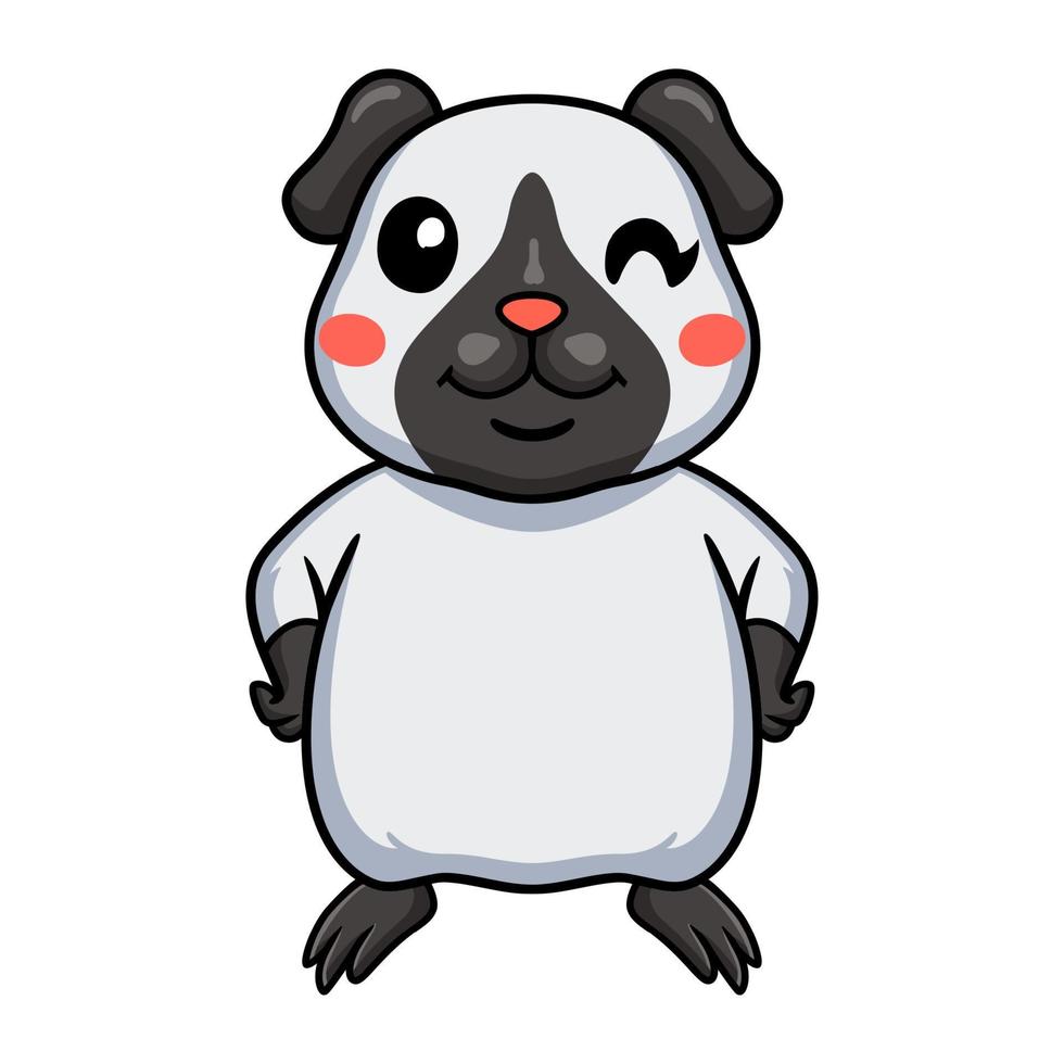 Cute little siamese guinea cartoon standing vector