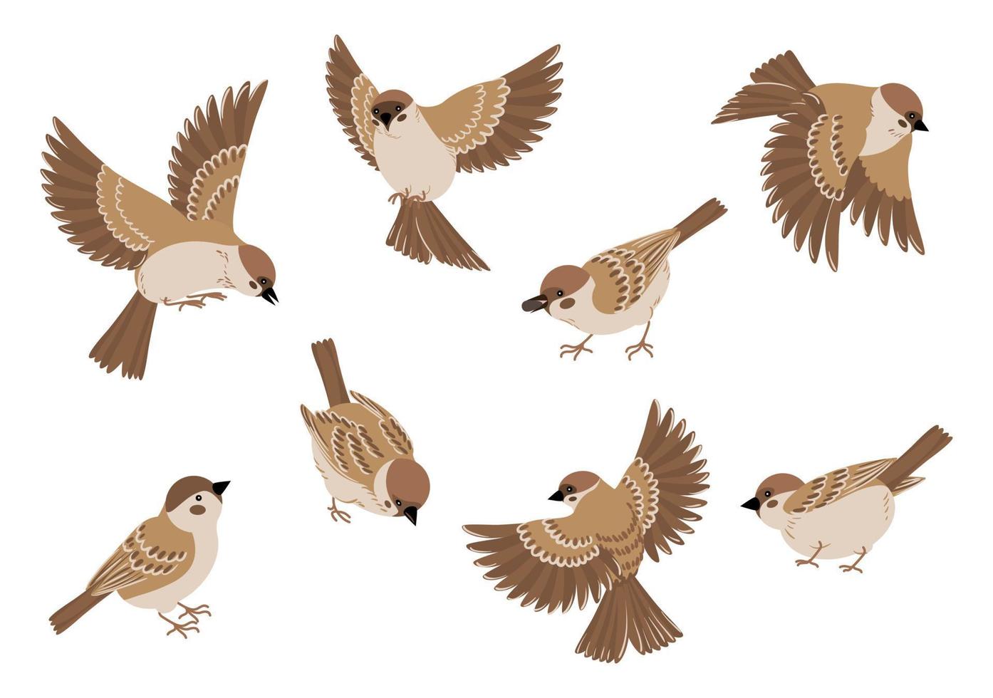 conjunto de dibujos animados de pájaros voladores vector