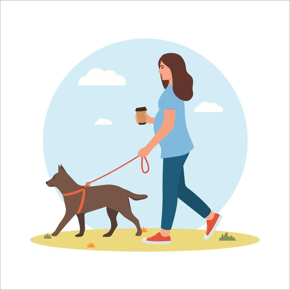 Pregnant woman walking with her dog. Healthy habits and  lifestyle.Happy pregnancy.  Sport for pregnant. Flat cartoon vector illustration