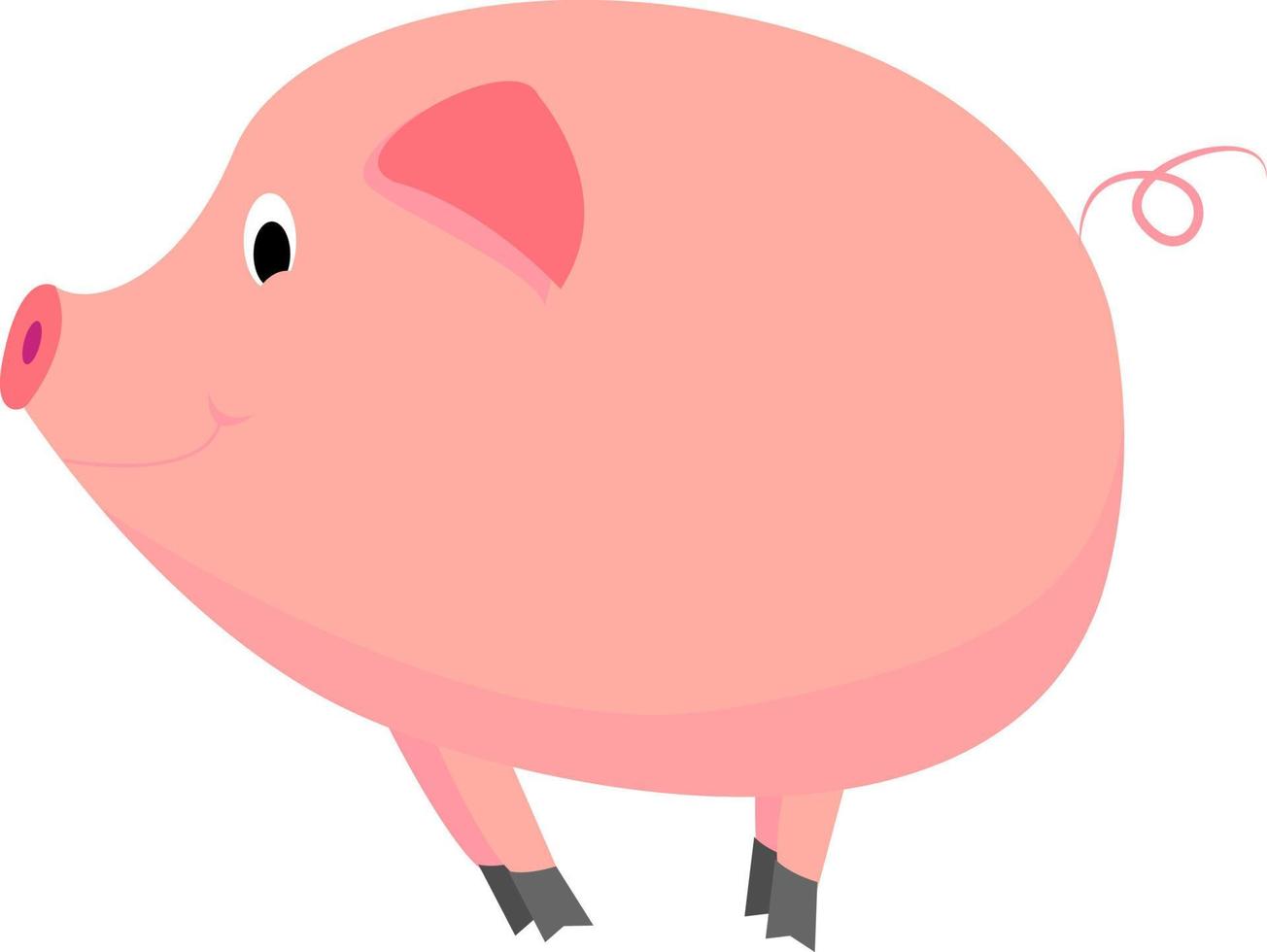 Cute pig, illustration, vector on white background.