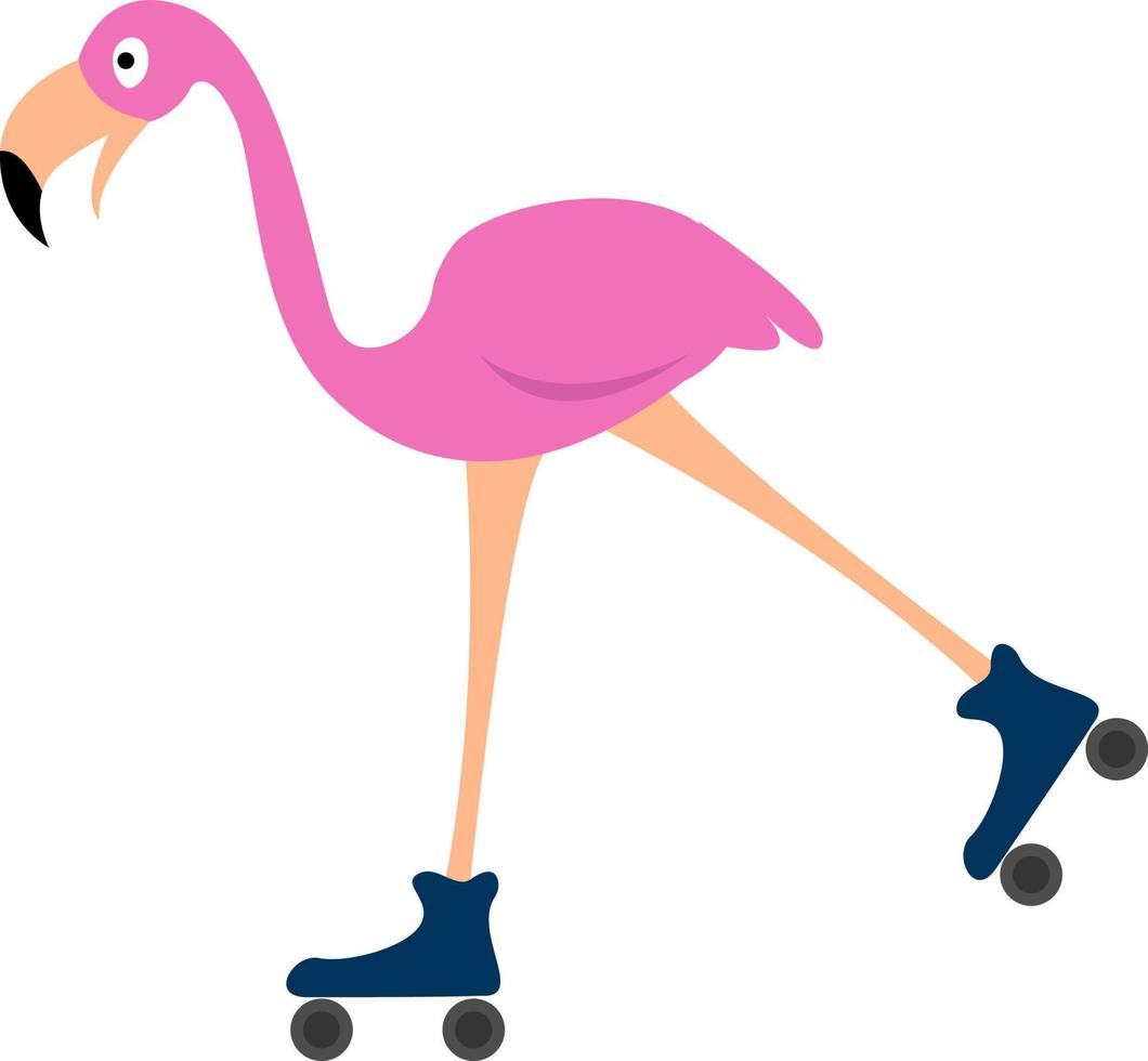 Flamingo en patines, ilustración, vector sobre fondo blanco.