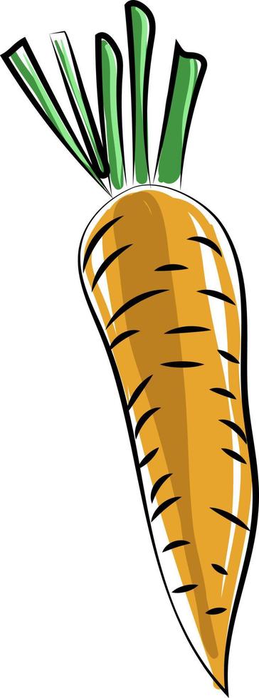 Old carrot, illustration, vector on white background.