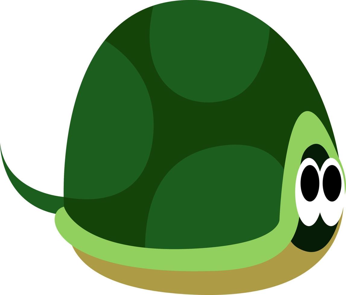 Tortoise shell, illustration, vector on white background.
