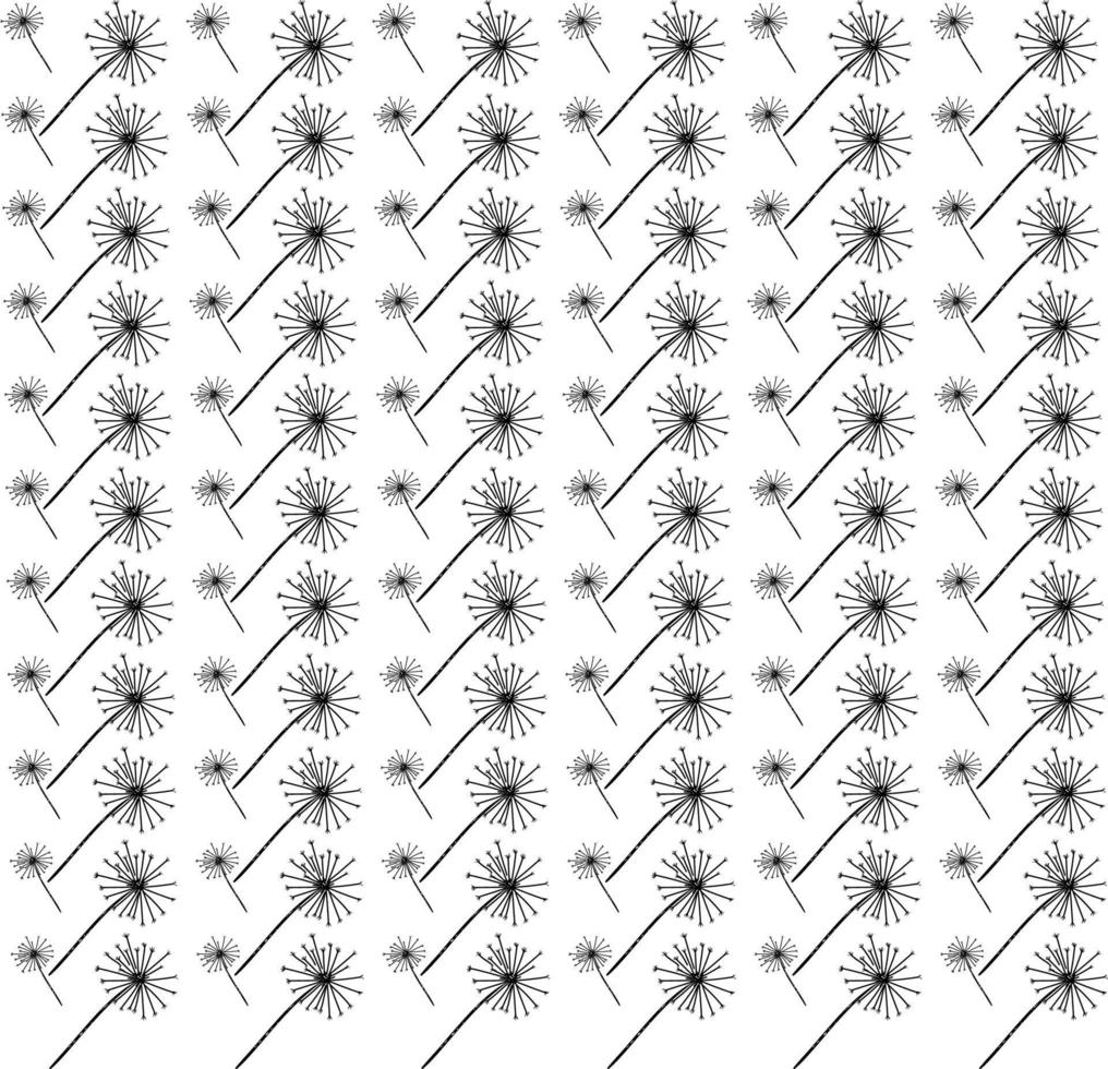 Dandelion wallpaper, illustration, vector on white background.